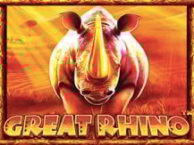 Great Rhino