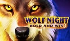 Wolf Night: Hold and Win