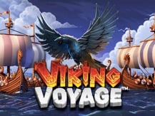 Viking Voyage