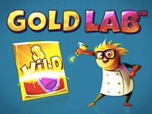 Gold Lab
