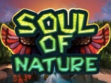 Soul of Nature