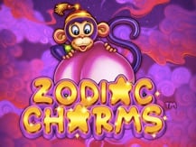 Zodiac Charms