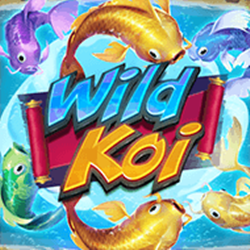 Wild Koi