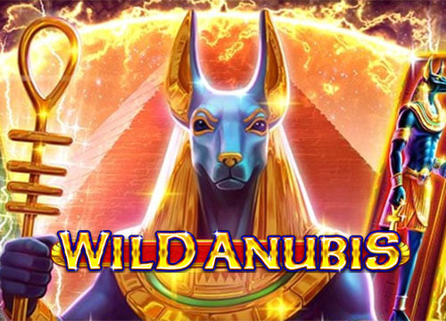 Wild Anubis