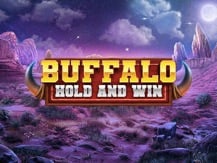 Buffalo Hold And Win