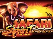 Safari Spirit