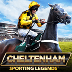 Cheltenham Sporting Legends