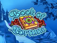 Book Of Fortune