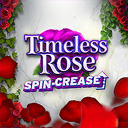 Timeless Rose