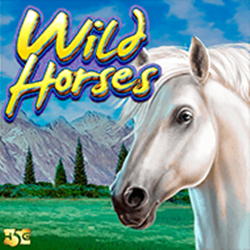 Wild Horses