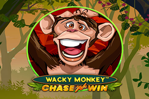 Wacky Monkey – Chase'N'Win