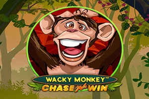 Wacky Monkey - Chase'N'Win