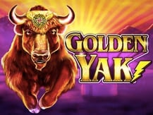 Golden Yak