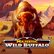 Majestic Wild Buffalo