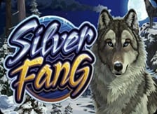 Silver Fang