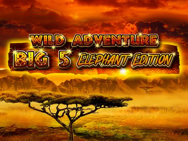 Wild Adventure – Big 5 Elephant Edition