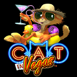 Cat in Vegas