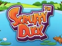 Scruffy Duck