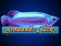 Arowanas Luck