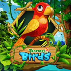 Tropical Birds