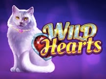 Wild Hearts