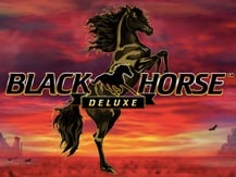 Black Horse Deluxe