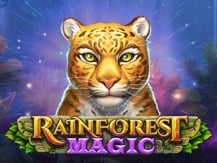 Rainforest Magic