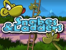 Snakes and Ladders Game Changer