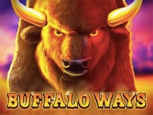 Buffalo Ways