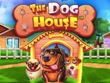 The Dog House
