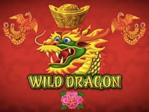 Wild Dragon