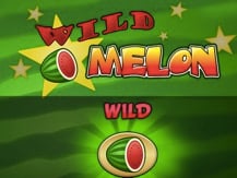 Wild Melon