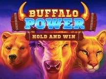 Buffalo Power: Hold and Win