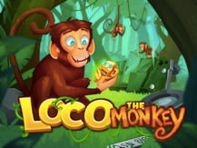 Loco the Monkey