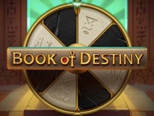 Book Of Destiny