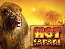 Hot Safari