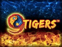 9 Tigers