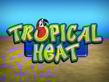 Tropical Heat