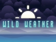 Wild Weather