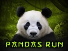 Panda's Run