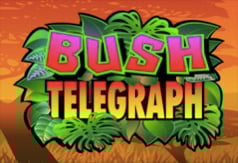 Bush Telegraph