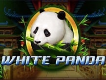 Full Moon White Panda