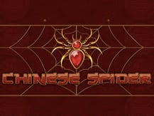 Chinese Spider
