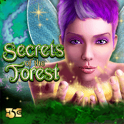 Secrets of the Forest