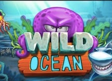 Wild Ocean