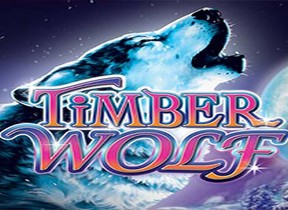 Timber Wolf