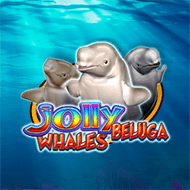 Jolly Beluga Whales