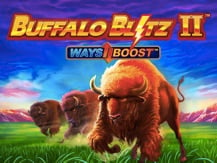 Buffalo Blitz 2