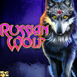 Russian Wolf