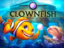 Clown Fish